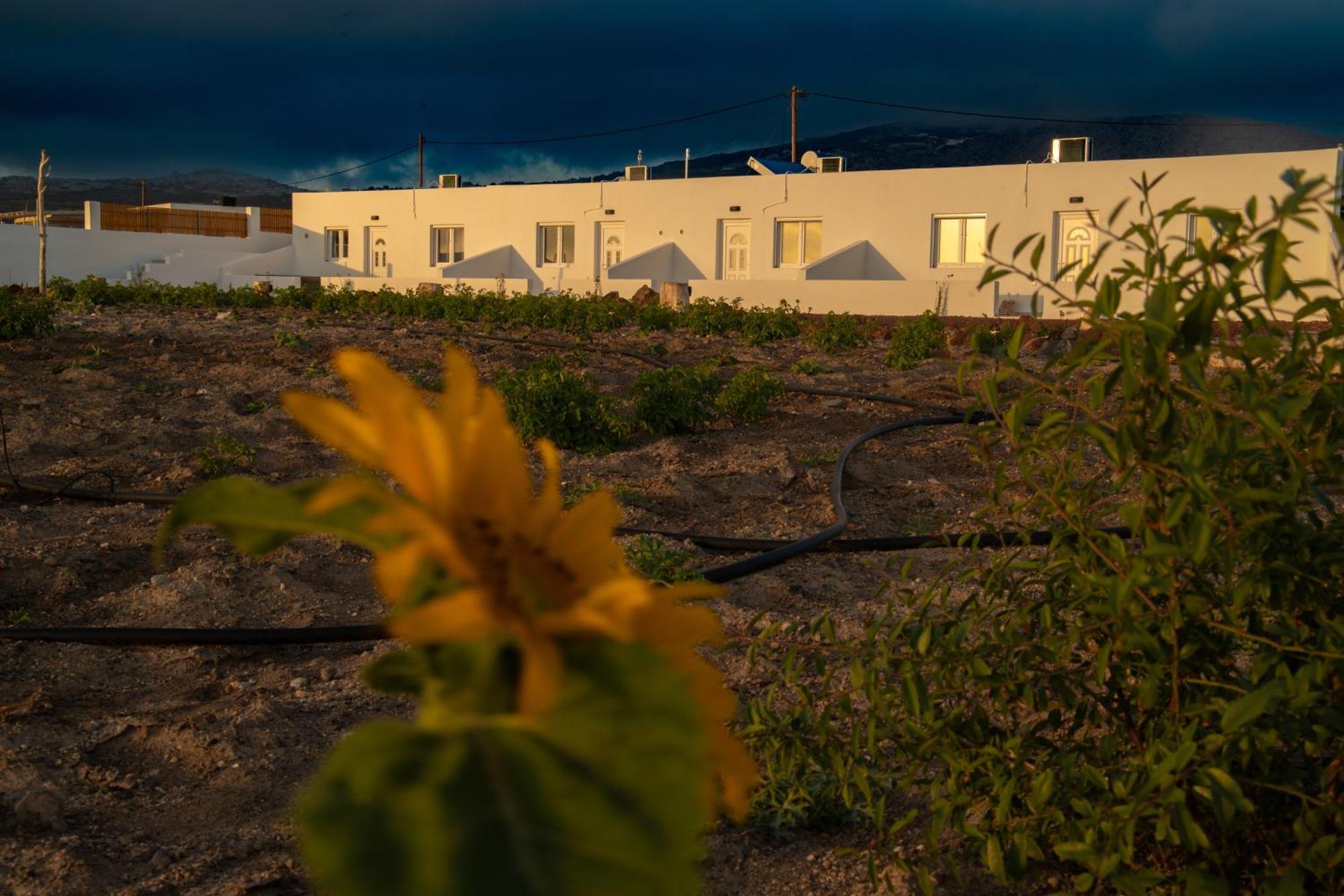 Calma Eco Houses Sunset View Emporio  Exterior foto